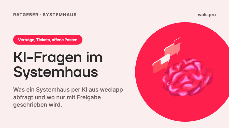 Welche Fragen kann ein Systemhaus per KI an Verträge und Tickets stellen?